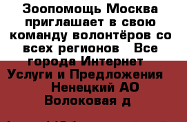 Зоопомощь.Москва приглашает в свою команду волонтёров со всех регионов - Все города Интернет » Услуги и Предложения   . Ненецкий АО,Волоковая д.
